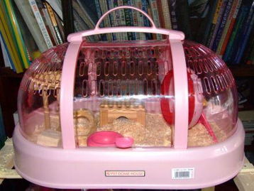 冬天什么籠子養(yǎng)花鼠合適