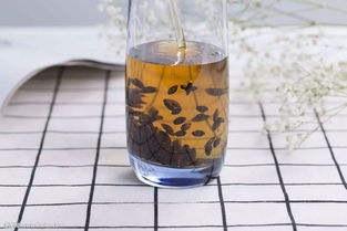 大麥茶的渣可以拿來養(yǎng)花嗎