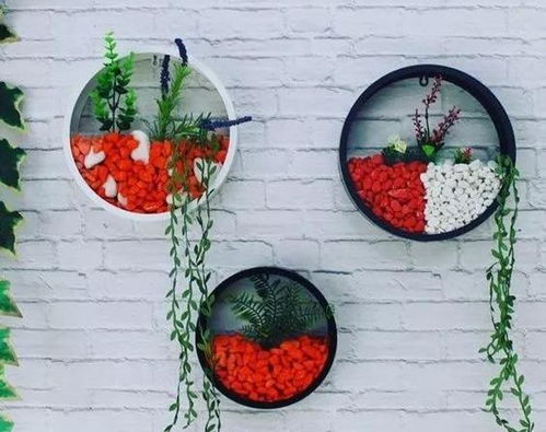 掛在墻上養(yǎng)花的pvc