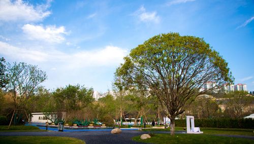 去云南養(yǎng)花在哪買房