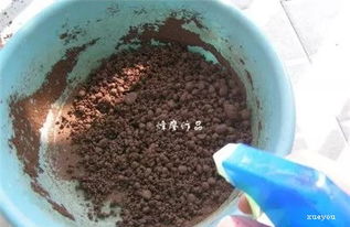 土姜結(jié)石可以養(yǎng)花嗎