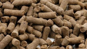 菜籽餅養(yǎng)花施肥方法