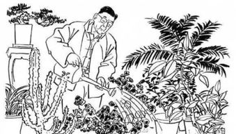 老舍怎樣把養(yǎng)花當(dāng)作生活中的樂(lè)趣
