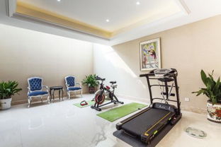 沒(méi)窗戶的地下室能養(yǎng)花嗎