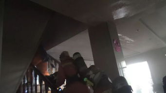 孕婦屋內(nèi)養(yǎng)花