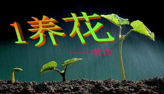 養(yǎng)花概括主要內(nèi)容