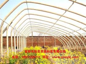 農(nóng)村養(yǎng)花的大棚