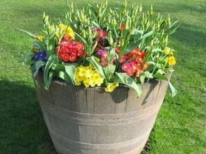 朋友圈發(fā)養(yǎng)花的句子