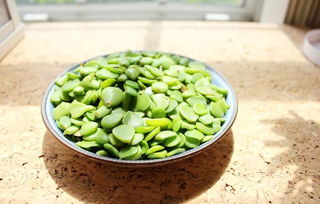 談談養(yǎng)花心得