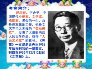 五級課文養(yǎng)花教程