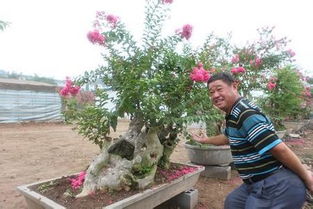 關(guān)于養(yǎng)花的搞笑說說