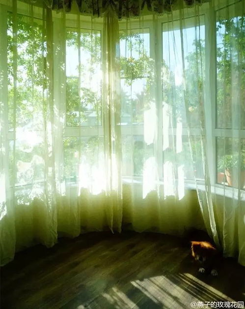 養(yǎng)花的大論壇