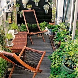 新疆陽臺養(yǎng)花