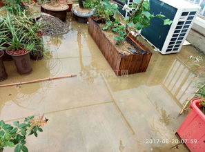 小區(qū)樓頂嚴禁養(yǎng)花種菜