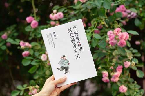 老舍寫?zhàn)B花的主要內(nèi)容是什么