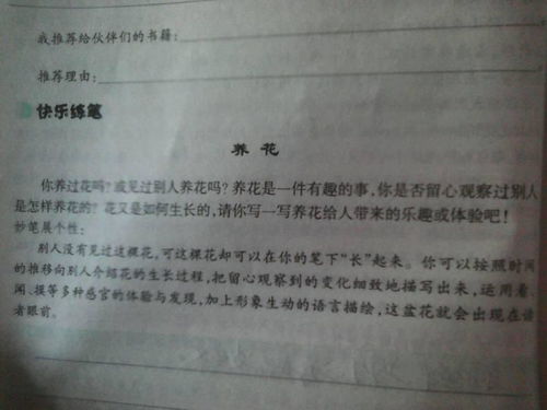 養(yǎng)花心得作文三百字