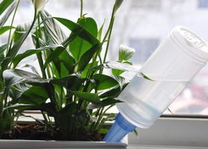 養(yǎng)花澆的復(fù)合肥是什么樣的