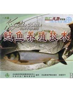 養(yǎng)花鰱魚大全