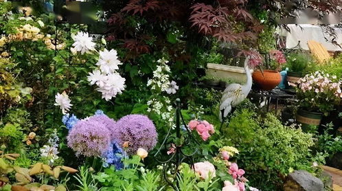 種花養(yǎng)花小說(shuō)