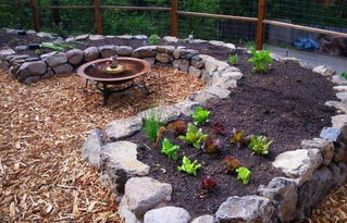 養(yǎng)魚養(yǎng)花會(huì)消磨意志嗎