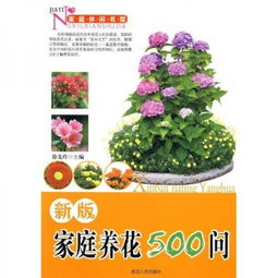 仿寫?zhàn)B花500