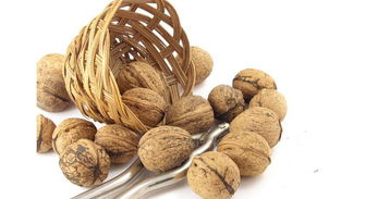 核桃燒成灰可以養(yǎng)花嗎