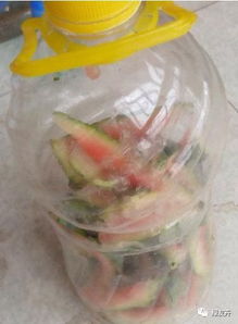 發(fā)酵葡萄皮養(yǎng)花