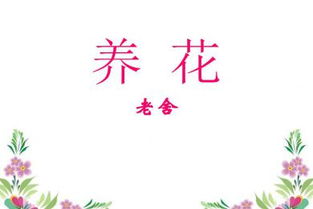 免費(fèi)養(yǎng)花課件ppt