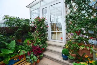 頂樓養(yǎng)花設計圖