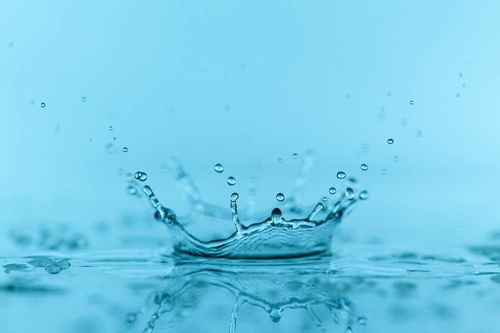 水命適應養(yǎng)花嗎