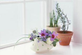 香灰能養(yǎng)花么