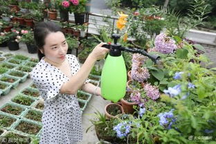 屬狗的可以養(yǎng)花嗎