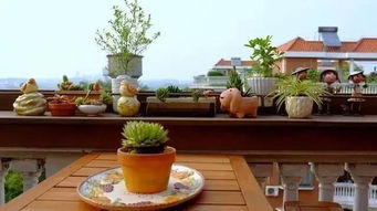 家庭花園常養(yǎng)花卉82種