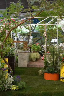 養(yǎng)花的人心靈不一定都是美好的