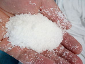 網(wǎng)箱養(yǎng)花鰱怎么用尿素