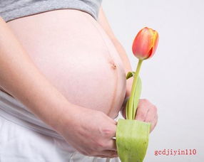 懷孕的人夢見種花養(yǎng)花