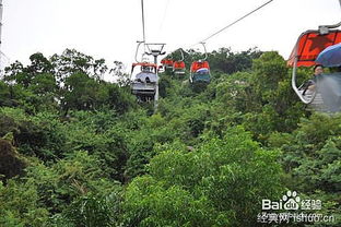 養(yǎng)花的樂趣500子作文