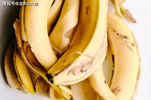 香蕉適合養(yǎng)花嗎