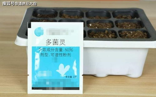 養(yǎng)花花土了有小蟲子怎樣處理