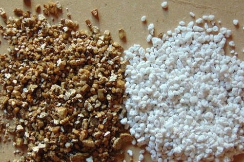 珍珠巖和蛭石養(yǎng)花好嗎