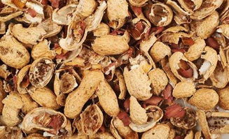 鹽花生殼可以養(yǎng)花嗎