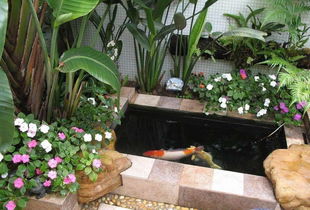 養(yǎng)花土養(yǎng)和水養(yǎng)哪種好