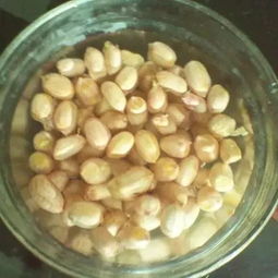 塑料瓶養(yǎng)花生芽