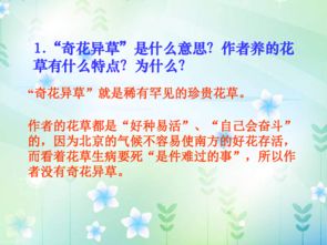 六下冊(cè)語(yǔ)文北師大版養(yǎng)花教案