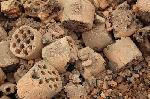 煤炭球怎么養(yǎng)花