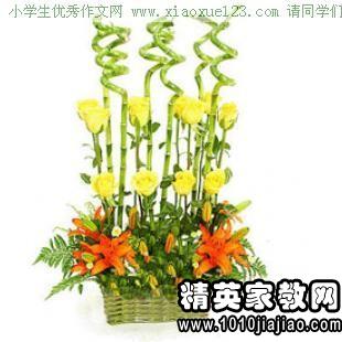 五級(jí)養(yǎng)花觀察日記