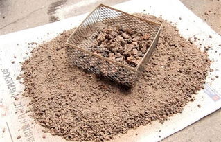 貓砂用完后可以養(yǎng)花