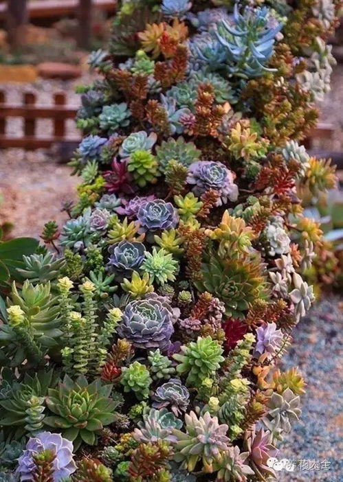 窮養(yǎng)花富養(yǎng)樹(shù)什么意思