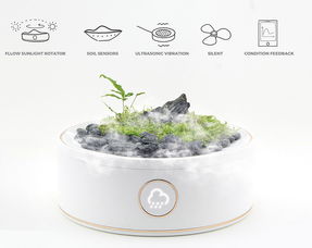 種草養(yǎng)花專心