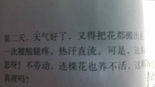 六級養(yǎng)花一文